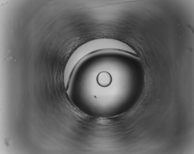 X0000103290336200809051505