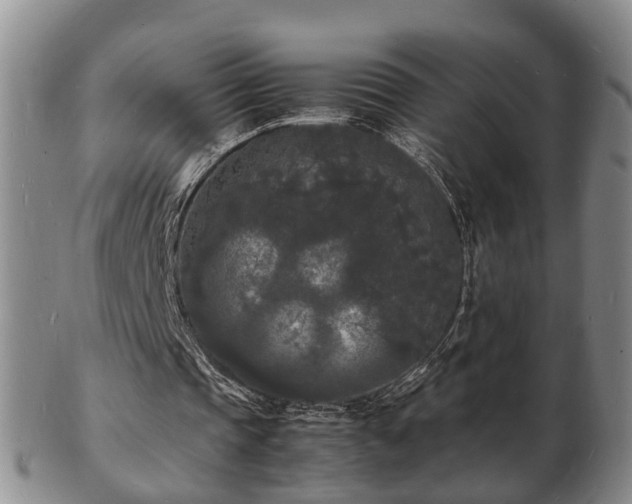 X0000103290337200809051505