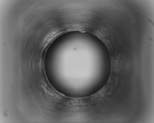 X0000103290338200809051505