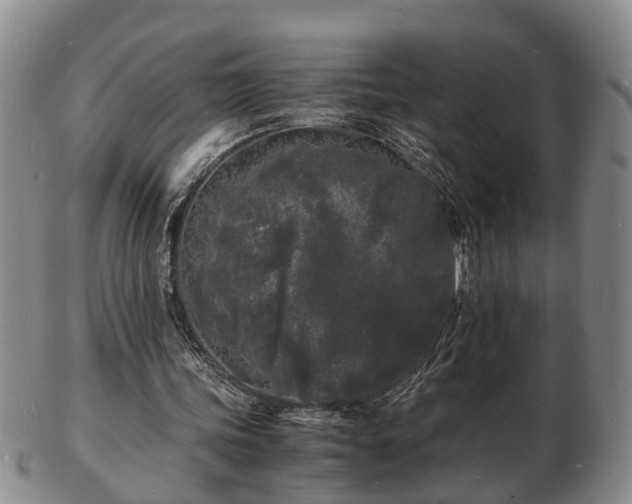 X0000103290339200809051505