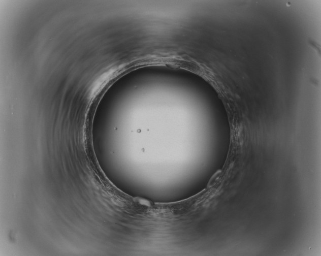 X0000103290340200809051505