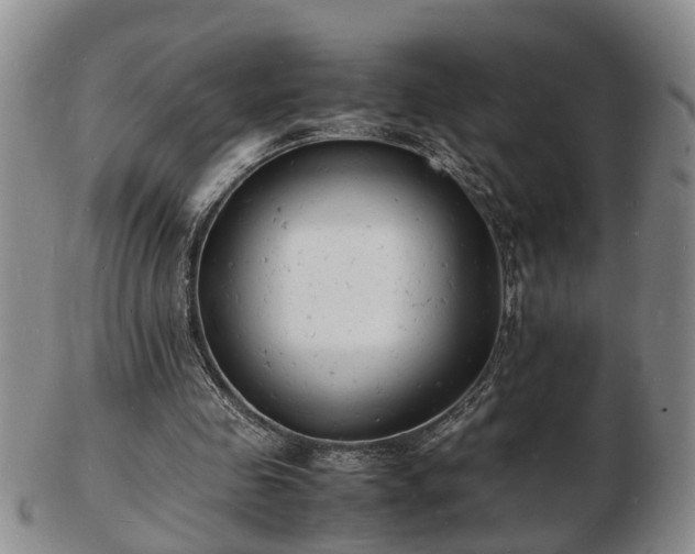 X0000103290341200809051505