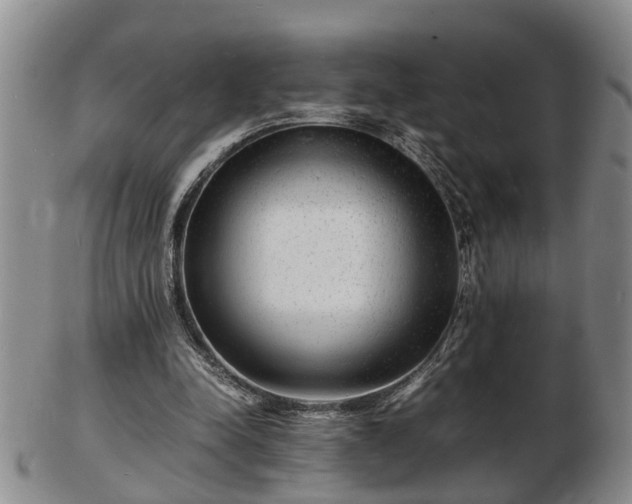 X0000103290342200809051505