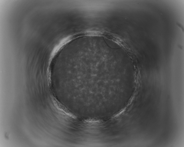 X0000103290343200809051505