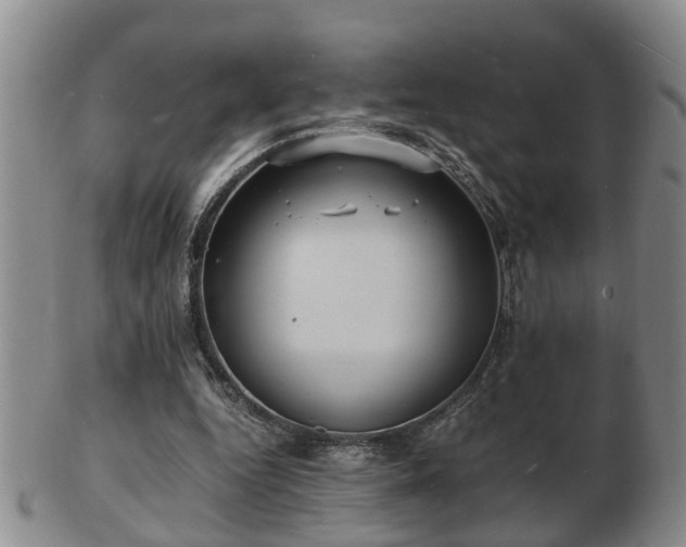 X0000103290344200809051505