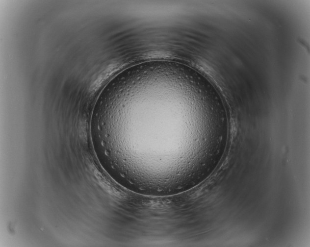 X0000103290345200809051505