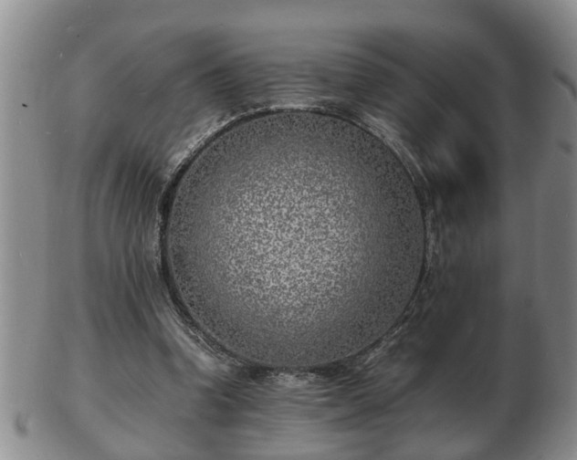 X0000103290346200809051505