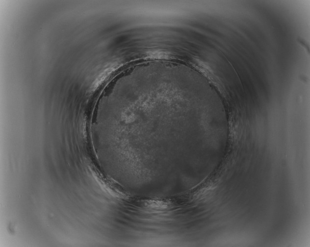 X0000103290347200809051505