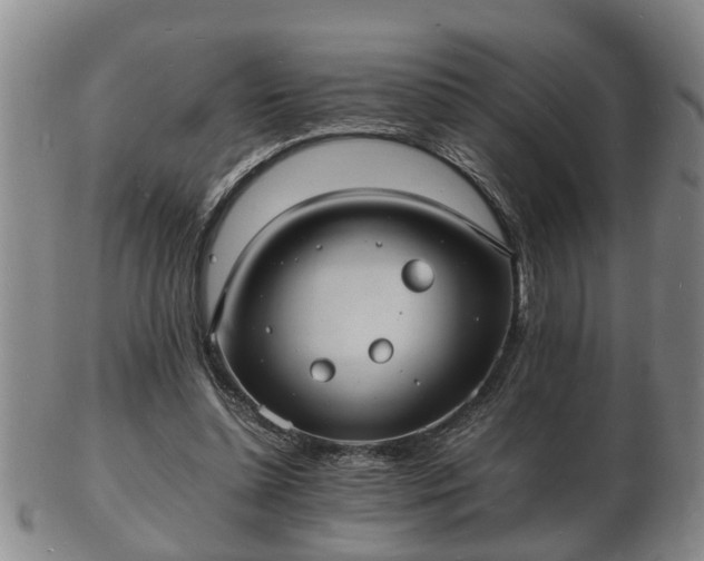 X0000103290348200809051505