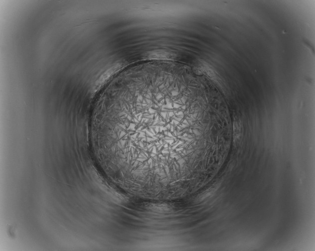 X0000103290349200809051505
