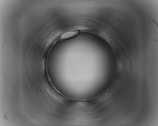 X0000103290350200809051505