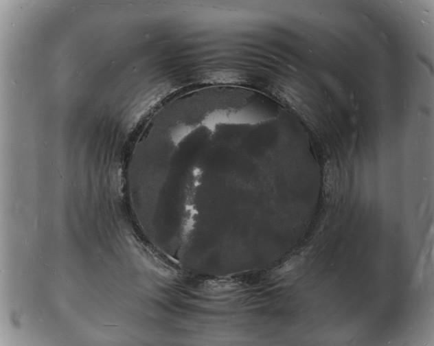 X0000103290351200809051505