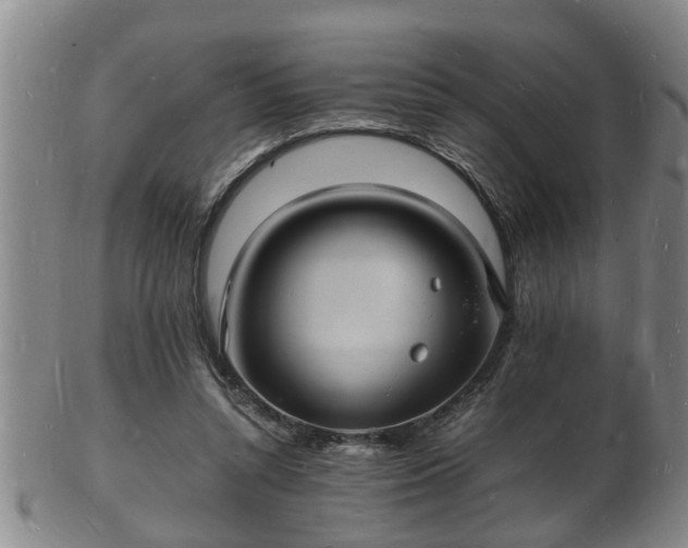 X0000103290352200809051505