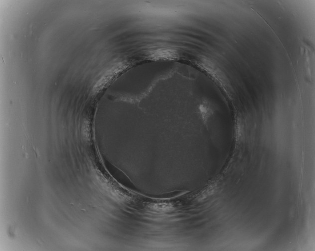 X0000103290353200809051505