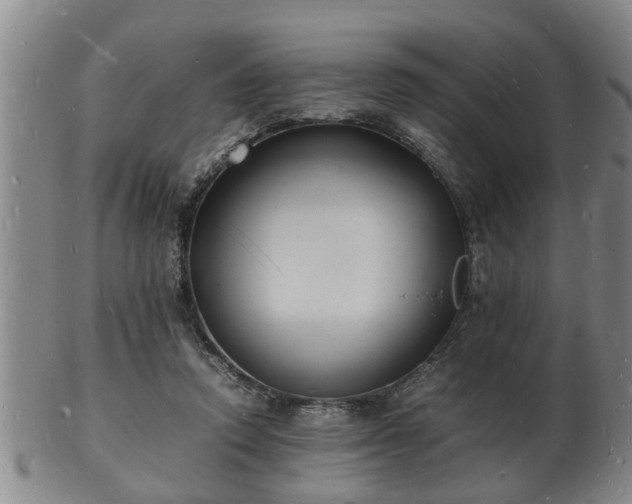 X0000103290354200809051505