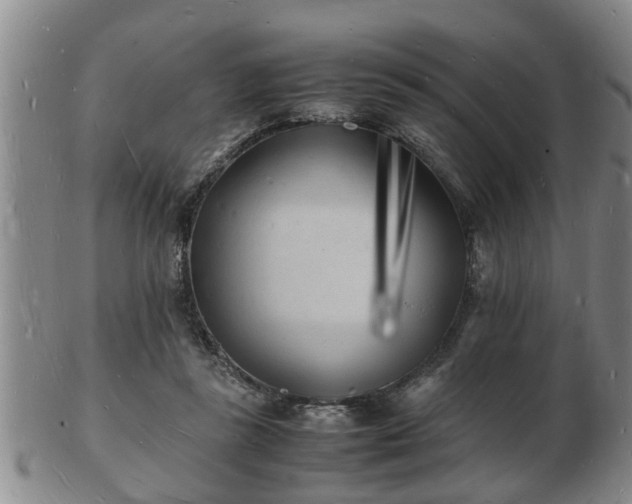 X0000103290355200809051505