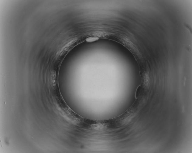 X0000103290356200809051505