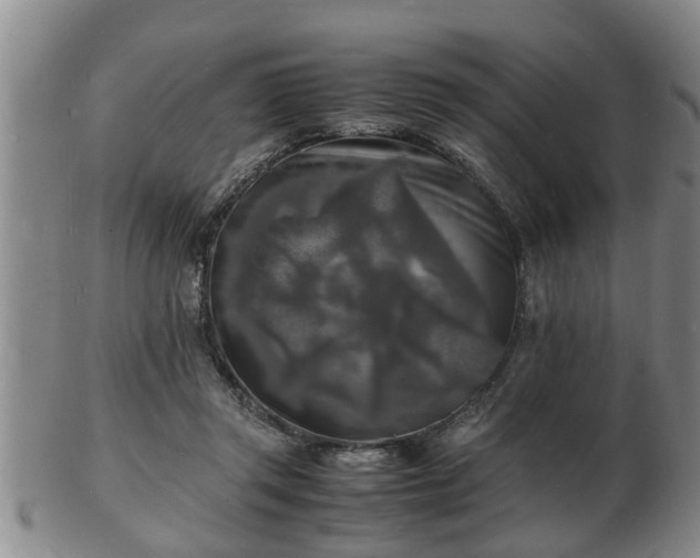 X0000103290357200809051505