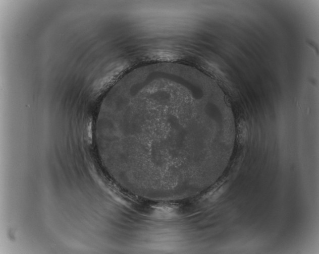 X0000103290358200809051505