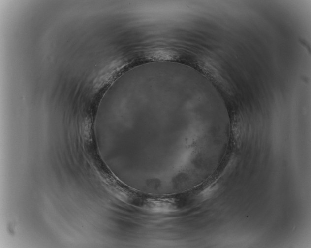 X0000103290359200809051505