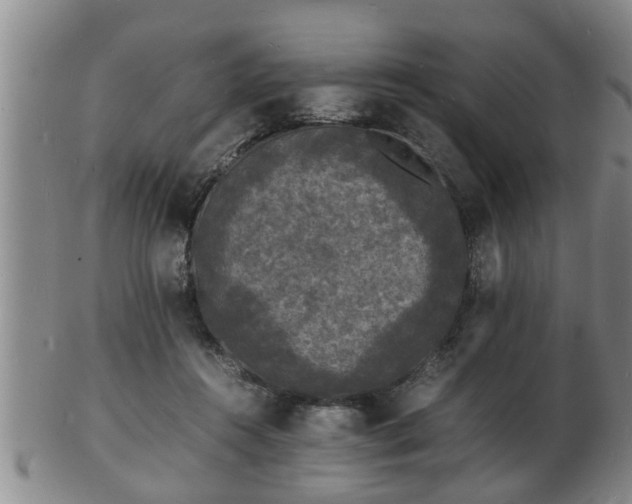 X0000103290360200809051505