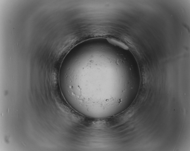 X0000103290362200809051505