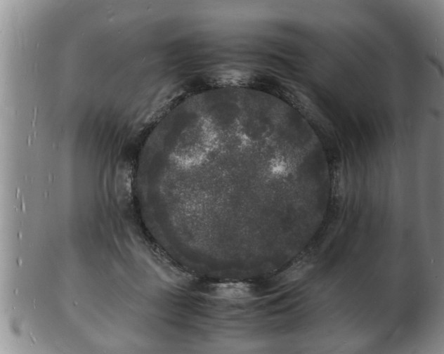 X0000103290363200809051505