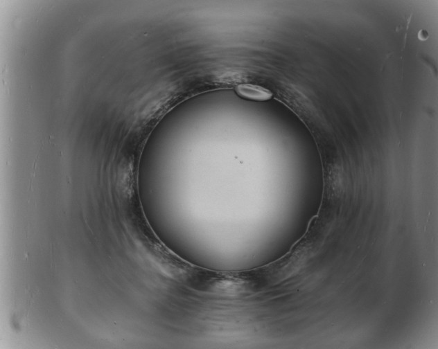 X0000103290364200809051505