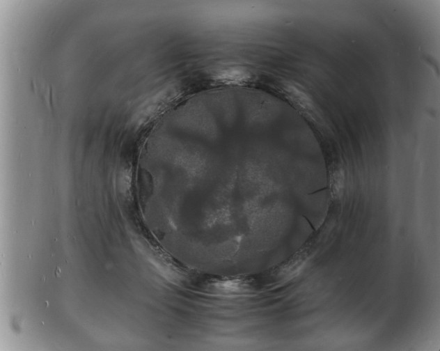 X0000103290365200809051505