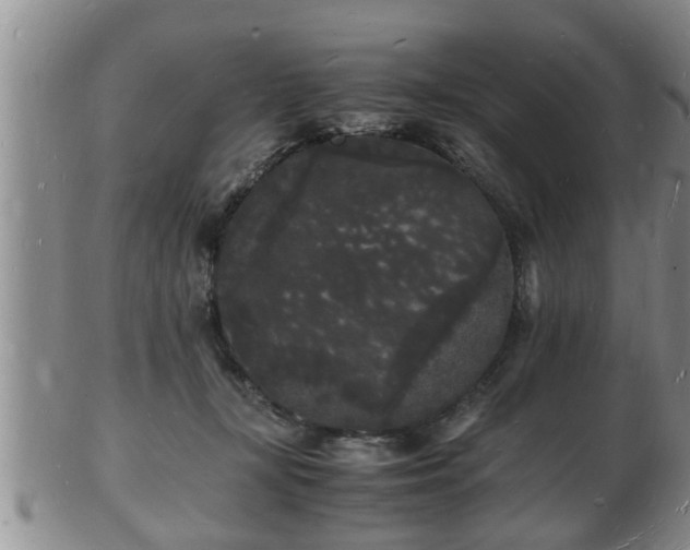 X0000103290367200809051505