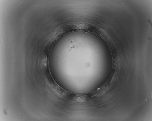 X0000103290368200809051505