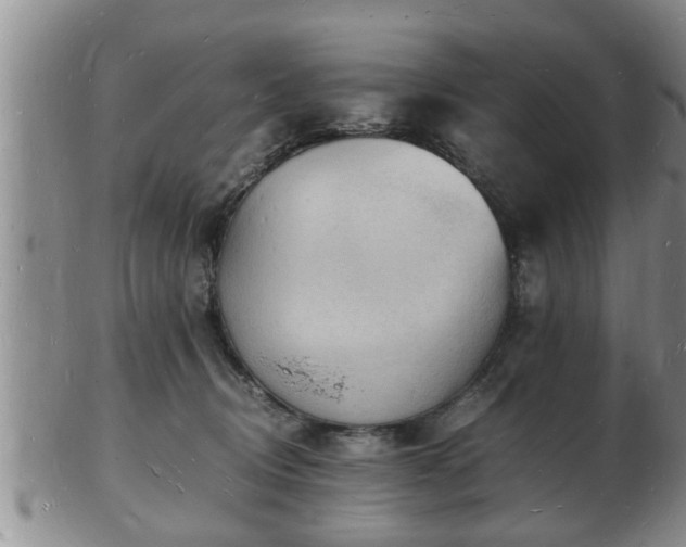 X0000103290370200809051505