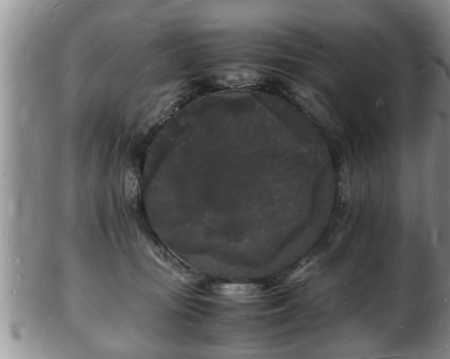 X0000103290371200809051505