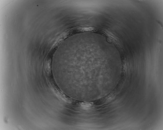 X0000103290373200809051505