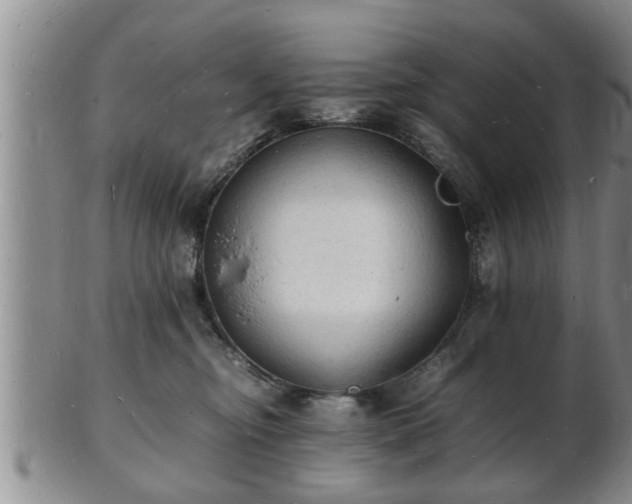 X0000103290374200809051505