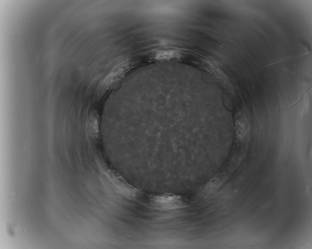 X0000103290375200809051505