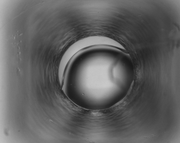 X0000103290376200809051505