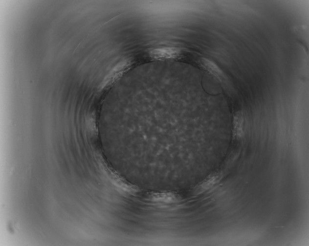 X0000103290377200809051505