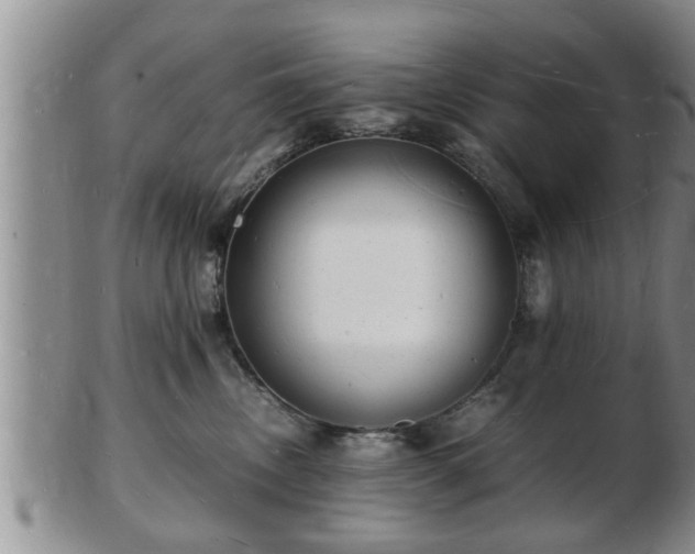 X0000103290378200809051505