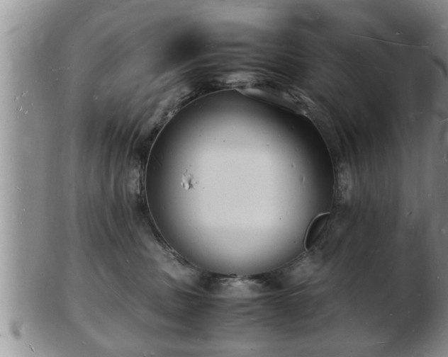 X0000103290379200809051505