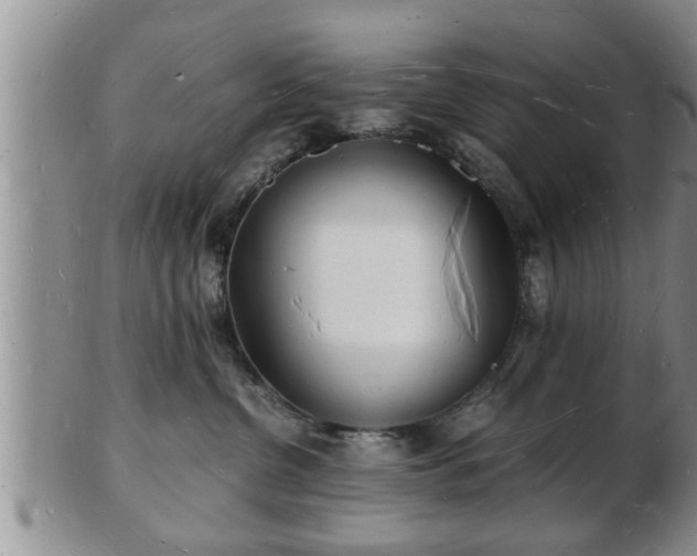 X0000103290380200809051505