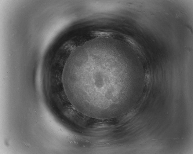 X0000103290381200809051505