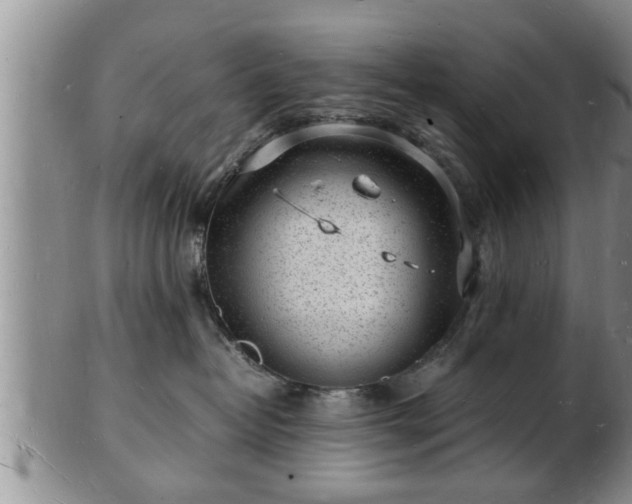 X0000103290382200809051505