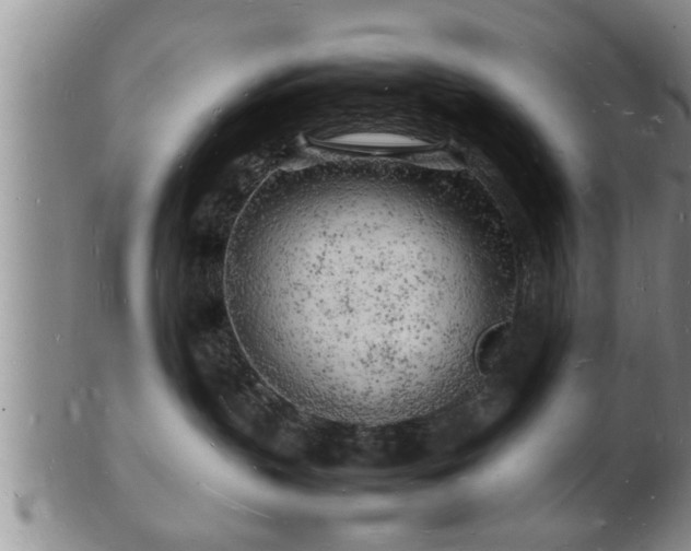 X0000103290383200809051505