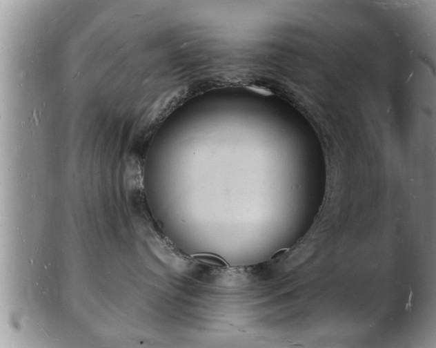 X0000103290384200809051505