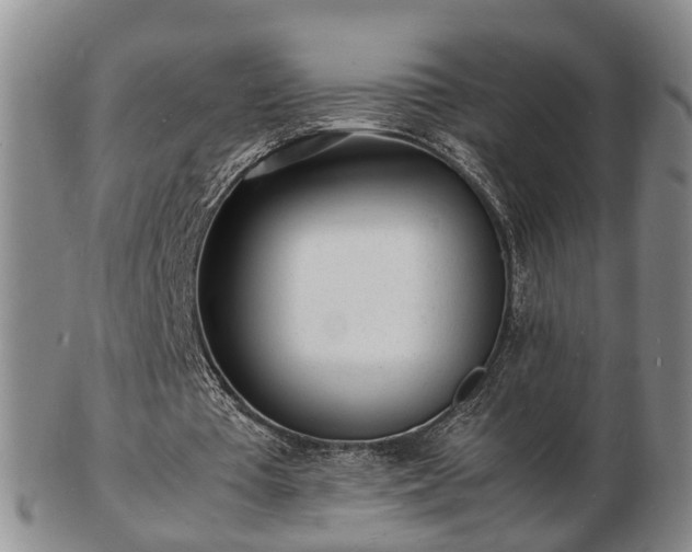 X0000103290385200809051505