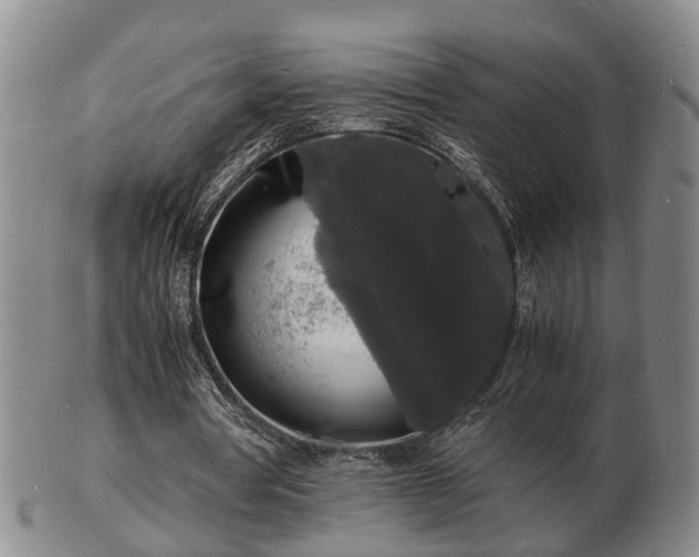 X0000103290386200809051505