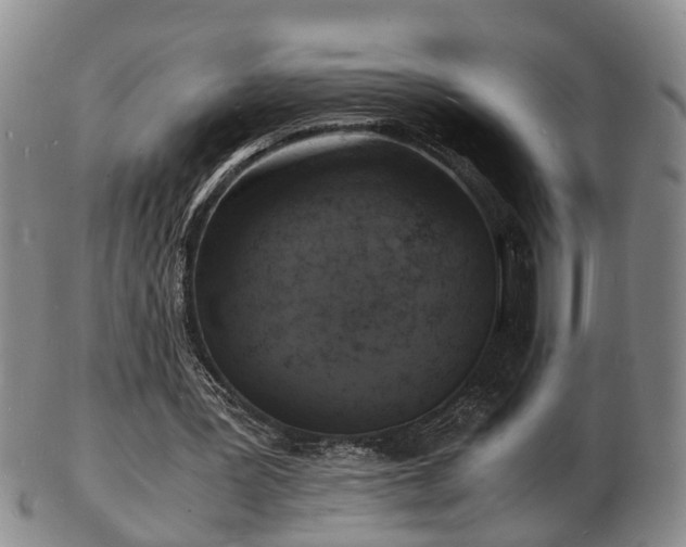 X0000103290387200809051504