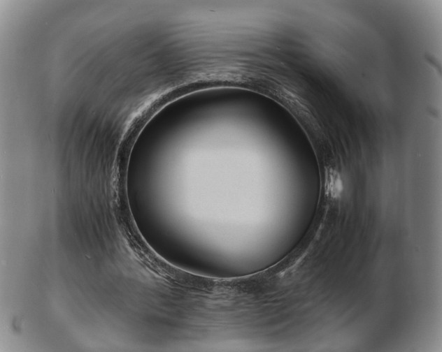 X0000103290388200809051504