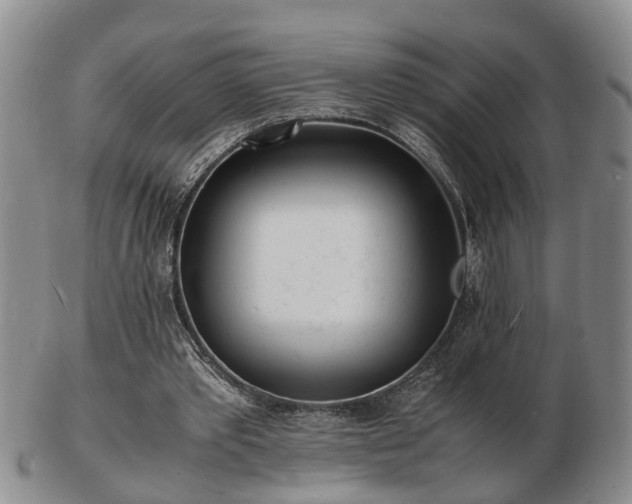 X0000103290389200809051504